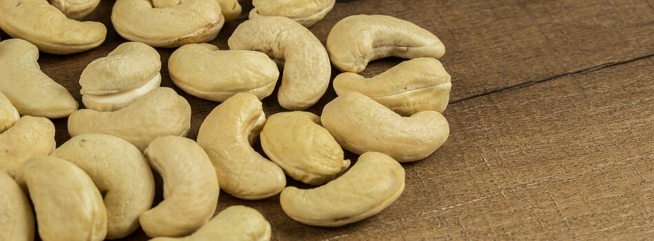 Cashew nut producers for export in Vietnam