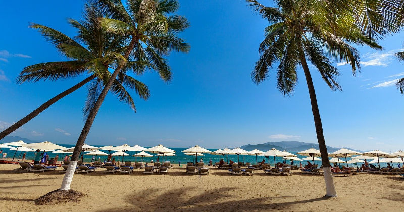 Nha Trang a des paysages, plage est ville populaire pour expatriés
