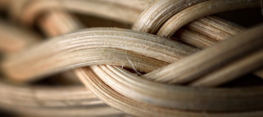 Manufacturers and factories for Rattan in Vietnam