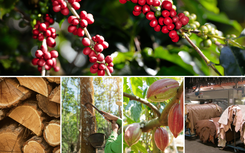 EUDR Affect Sourcing from Vietnam