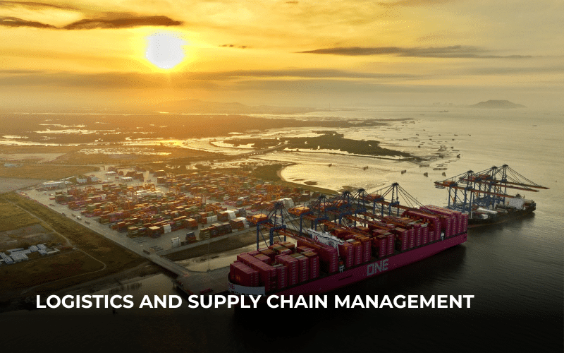 Logistics and Supply Chain Management in Vietnam