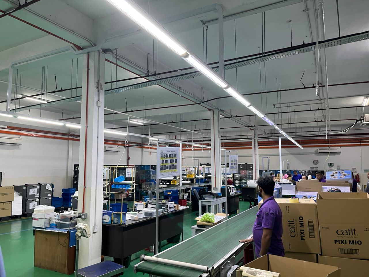 Logistics, Infrastructure, and Export Capabilities