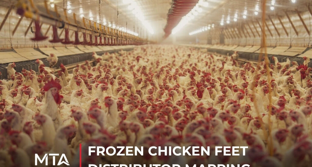 Case study on mapping frozen chicken feet distributors to support market entry and distribution strategy in Vietnam.