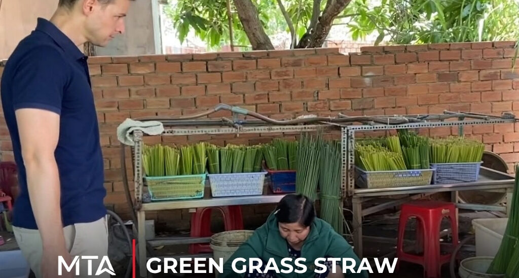 Green grass straw project focused on sourcing and exporting biodegradable natural grass straws for international markets