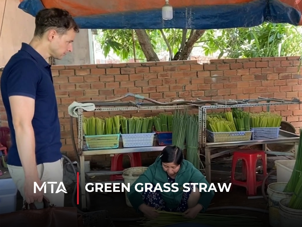 Green grass straw project focused on sourcing and exporting biodegradable natural grass straws for international markets