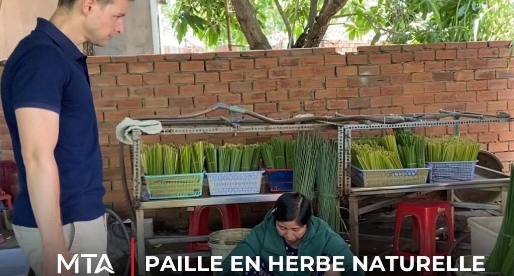 Projet d'approvisionnement et d'exportation de pailles en herbe naturelle biodégradables destinées aux marchés internationaux