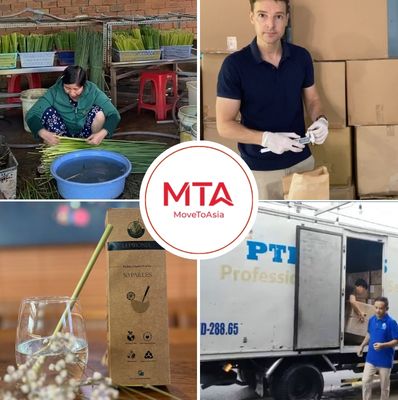 Projet d'approvisionnement et d'exportation de pailles végétales biodégradables destinées aux marchés internationaux