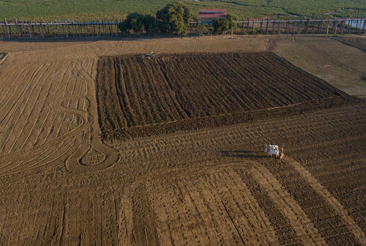 Agriculture in Myanmar.