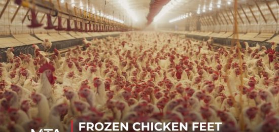 Case study on mapping frozen chicken feet distributors to support market entry and distribution strategy in Vietnam.
