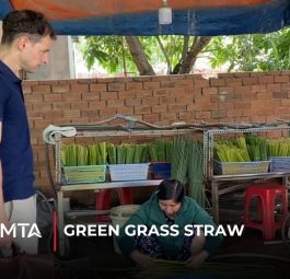 Green grass straw project focused on sourcing and exporting biodegradable natural grass straws for international markets