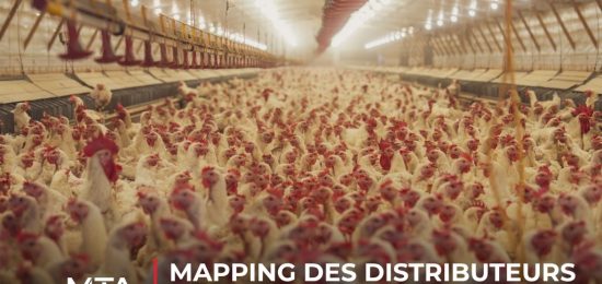 Projet de cartographie du marché identifiant les distributeurs, importateurs et réseaux d’approvisionnement en pattes de poulet surgelées au Vietnam.